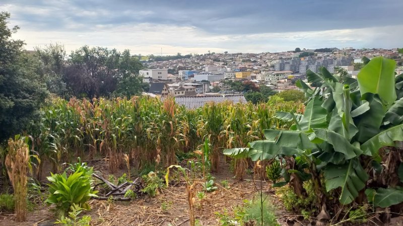 Terreno - Venda - Centro - Varginha - MG